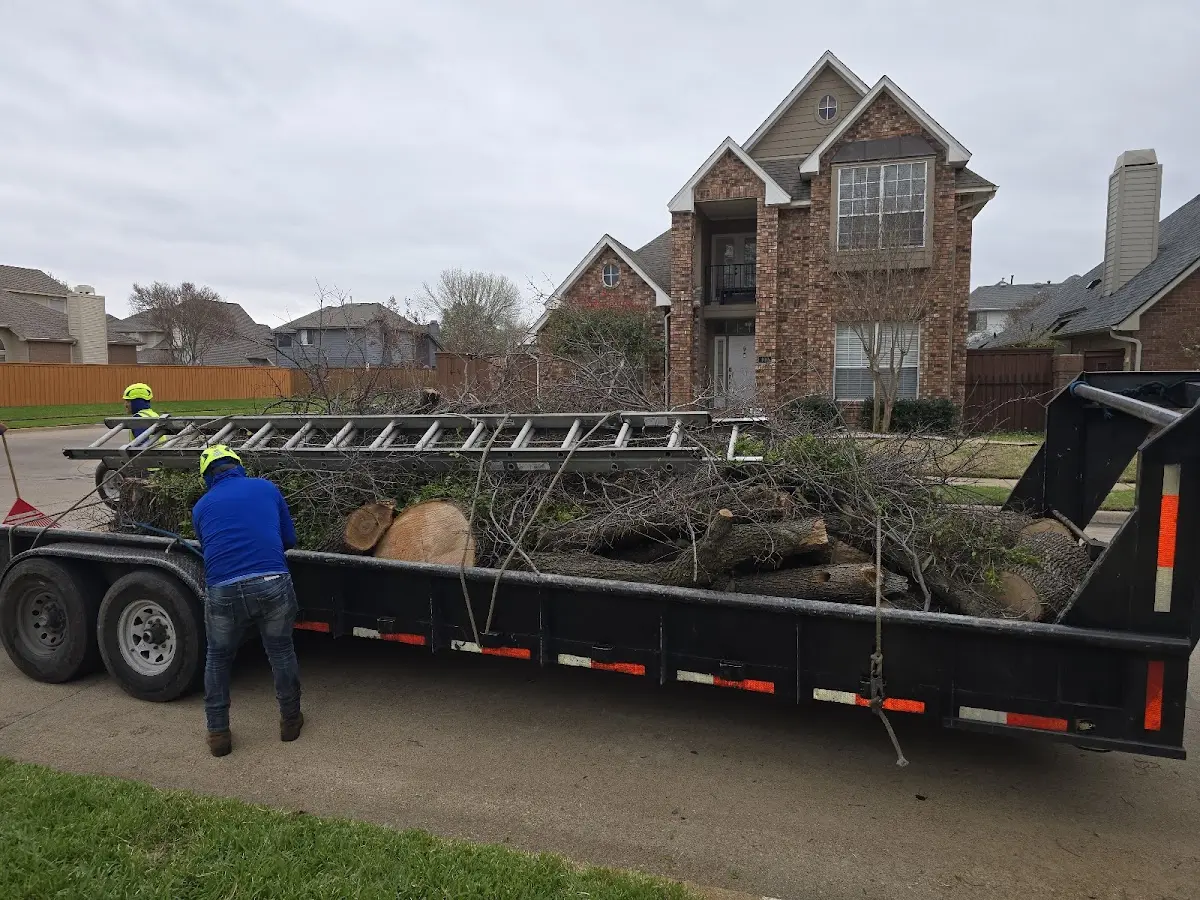 Expert Lot Clearing with proper safety equipment in Holcomb